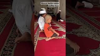 Jamia tul muqri Fateh Muhammad al islamia love islaheaamintercollege shortsviral islandvideo [upl. by Romeyn484]