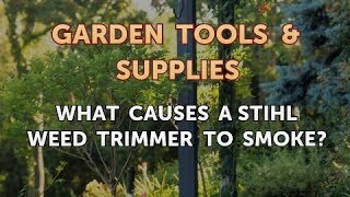 What Causes a Stihl Weed Trimmer to Smoke [upl. by Thinia]