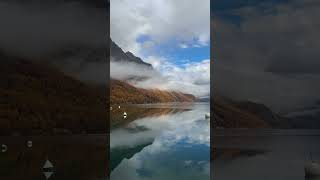 Golden Larches during Autumn Lake Sils Engadine Switzerland 🇨🇭 [upl. by Irahk]