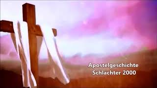 Apostelgeschichte Schlachter 2000 [upl. by Hilbert367]