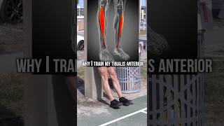 Anterior Tibialis Raise Explained in 60 Seconds [upl. by Ahsienar]