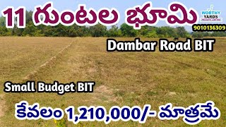 Agriculture Land For Sale  Dambar Road BIT agriculturelands farmlands realestate farmhouse [upl. by Emyaj]