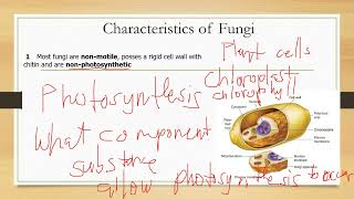 LESSON 1 INTRODUCTION TO MYCOLOGY [upl. by Orlanta]