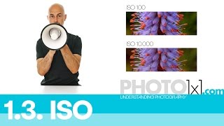 13 ISO explained  learn about ISO in less than 3 minutes  photo 1x1 the free photography course [upl. by Roach401]