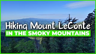 Hiking Alum Cave Trail To Mt LeConte  Great Smoky Mountain National Park  Summer 2022 [upl. by Dlorag]