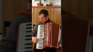 Raffaella Carra  Ballo Ballo  Accordion Cover  By Paul  My Personal Arrangement [upl. by Notlef]