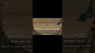 quranquotes quranrecitation qurantranslation quran [upl. by Siesser]