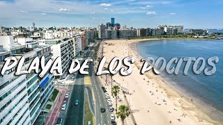 BEST BEACH IN MONTEVIDEO URUGUAY 4K  Playa de Los Pocitos [upl. by Caz198]