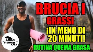 WORKOUT BRUCIA GRASSI A CORPO LIBERO [upl. by Kcirrej]