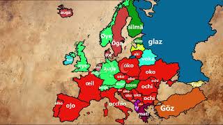 Comparison of European languages  Body parts [upl. by Deny]