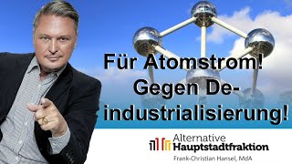 Für Atomstrom  gegen Deindustrialisierung [upl. by Aiet]