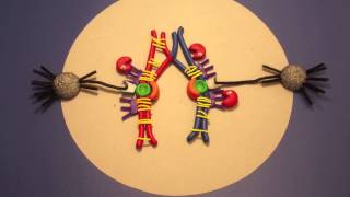 Meiosis in Clay [upl. by Leahcym]