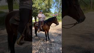 How to Gleich lange Westernzügel 💕 foryou fürdich equestrian trending viral westernreiten [upl. by Ayotaj]