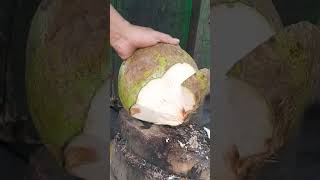 Young coconut cutting skills satisfying shorts coconut viral fyp [upl. by Schiff667]