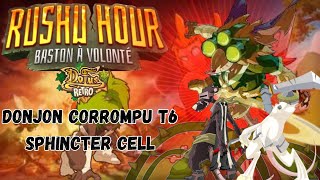 DONJON CORROMPU T6  SPHINCTER CELL dofus rétro temporis 3 [upl. by Anirtap]