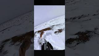 NextLevel Wolf Hunting The Shot of a Lifetime охота hunting chasse hunters волк падение [upl. by Solohcin605]