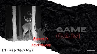 Game Camera  Wildgame Innovations Trail Camera [upl. by Adorl253]