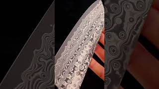 Santoku SG2 Carbon Steel Japanese Kitchen Knife [upl. by Keeley719]