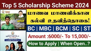 Top 5 Scholarship Scheme Students 2024  Scholarship 2024  scholarship tamil 2024  bc mbc sc st [upl. by Lachman737]