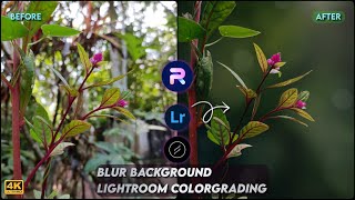 Blur Image Background  Mobile Photo Editing Tutorial  Lightroom Color Grading  PhotoRoom Editing [upl. by Imoyn990]