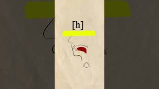 Voiced Glottal Fricative ɦ phonetics [upl. by Jamie]