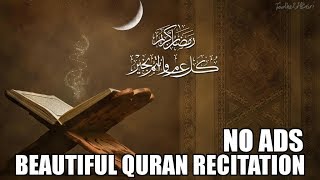 Beautiful Quran Recitation  10 Hours  No Ads [upl. by Oisacin]