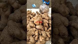 Potato🍠 essential for Chhath माईया Puja 🌺Fatok Bazar🌻 Silchar💐Shiv baba 🙏Please subscribe 🍇like [upl. by Cardinal]