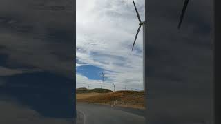 Wind Farm in newzealand [upl. by Samy]