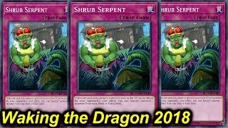 【YGOPRO】WAKING THE DRAGON DECK 2018 [upl. by Aleksandr]