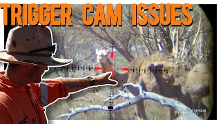 Precision Camel Culling with Triggercam 21 and Delta Stryker Scope [upl. by Nylidam]