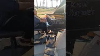 The piano man venice beach ⛱️ piano man venicebeach musclebeach legend [upl. by Lohcin73]