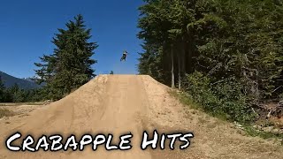 My First Time Ever Hitting All Of Crabapple Hits At The Whistler Bike Park  MTB [upl. by Ede894]