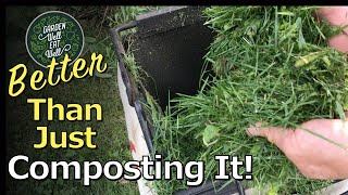 BEST Use For Grass Clippings EVERYWHERE In The Garden MORE Benefits amp Easier Than Composting It [upl. by Fernande741]