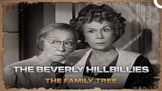 The Beverly Hillbillies Episode 25 The Family Tree  Classic Hollywood TV Series [upl. by Burkitt]