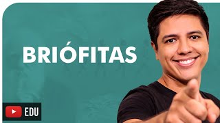 BRIÓFITAS  BOTÂNICA  Prof Kennedy Ramos [upl. by Weisman]