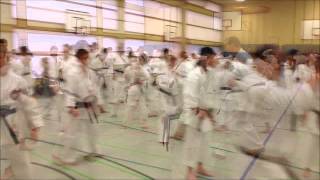 KSI GERMANY 2012 SHIHAN EDDIE DANIELS 8th Dan DAY 2 [upl. by Oderfla]