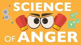 THE SCIENCE OF ANGER [upl. by Amilb]