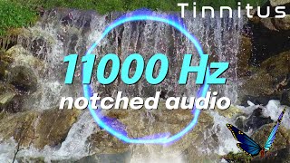 Tinnitus Sound Therapy  11000 Hz notched audio  Dreaming Waterfall [upl. by Meara302]