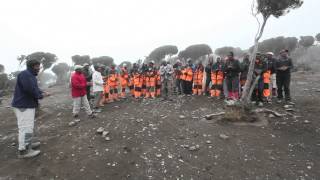 Jambo Song on Kilimanjaro [upl. by Devlin]