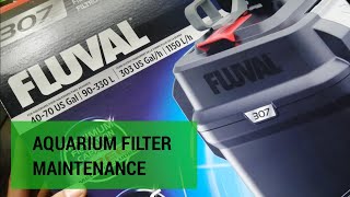 QUICK amp EASY AQUARIUM CANISTER FILTER MAINTENANCE  FLUVAL 307 [upl. by Cyrille]