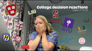 College decision reactions 2024  International Student [upl. by Analihp]