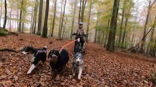 kanukasselTV BIKE JÖRING amp DOGSCOOTNG tut unseren HUNDEN und MIR täglich gut  LAUFT ihr HUNDE [upl. by Ecylahs]