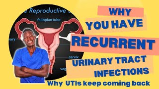 Reasons why your UTIs keep coming back  Why you keep having recurrent UTI infections [upl. by Priestley296]