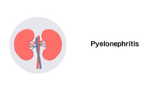 Nierenbeckenentzündung  Pyelonephritis Erkrankungen der Niere [upl. by Immot]