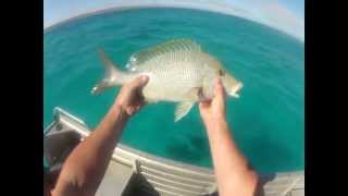 The Ningaloo game fishing camp out Highlights of 2013 [upl. by Marela]