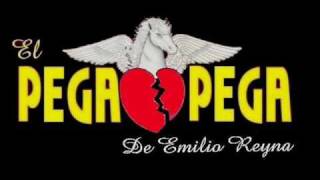 El Pega Pega de Emilio Reyna Quiero Ser [upl. by Adrahs]