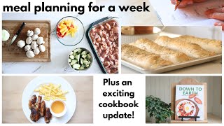 Meal Ideas  Weekly Meal Planning  Easy Family Recipes  Weekly Menu Idea  Cooking for the Family [upl. by Nnaeilsel579]