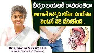 ఇక్కడ లోపం  Symptoms and Causes of Retrograde Ejaculation  Dr Chekuri Suvarchala  Ziva Fertility [upl. by Iaw]