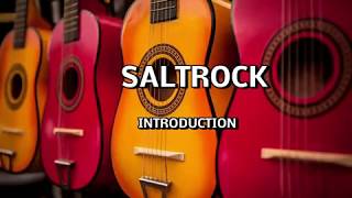 SALTROCK Introduction the intromusic is played by Tommy Emmanuel [upl. by Yaja930]