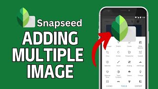 How to Add Multiple Images in Snapseed 2024 [upl. by Kceb]